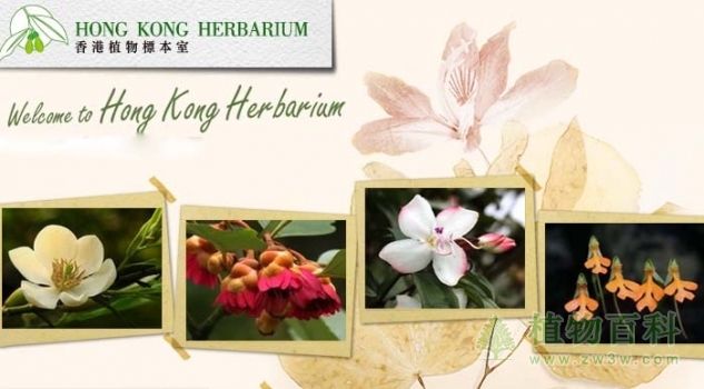 香港植物标本室