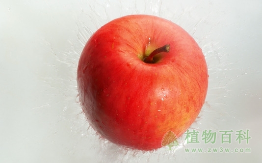 【苹果的功效与作用】