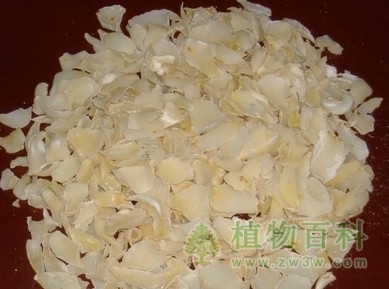 干百合的功效与作用