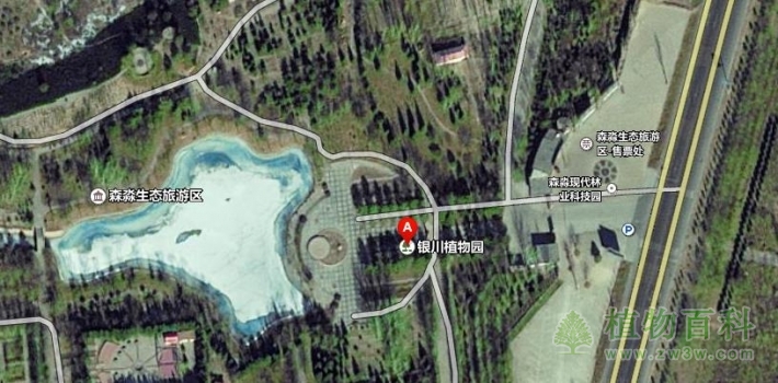 【银川植物园地理位置】