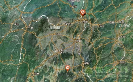 【湖南省森林植物园地理图】