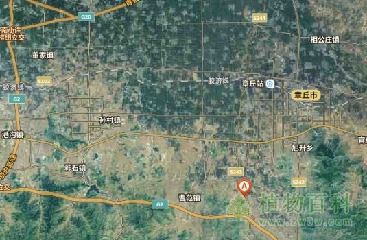 【济南植物园地理图】