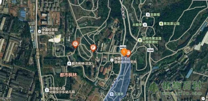 【昆明植物园地理图】