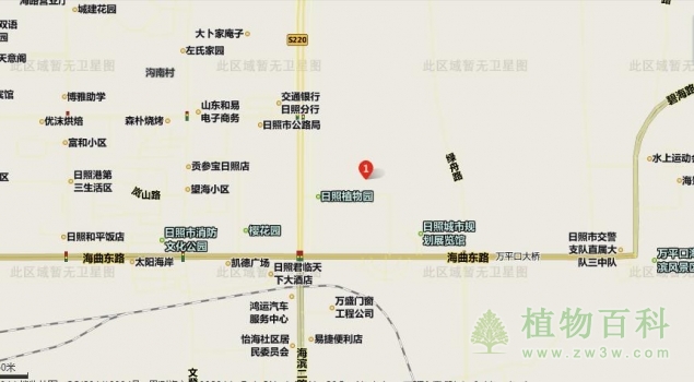 【日照植物园地理位置】