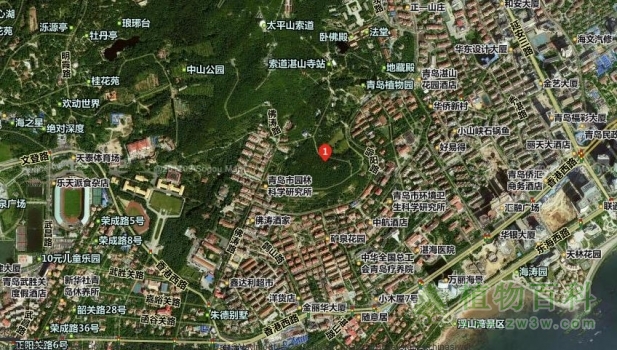 【青岛植物园地理位置】