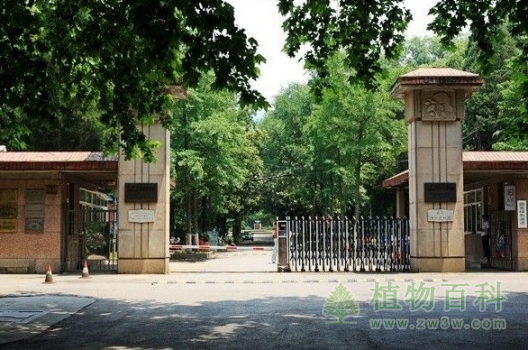 【中山植物园图】