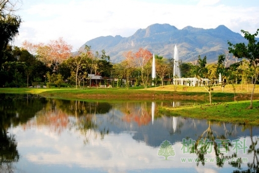 【青岛植物园】