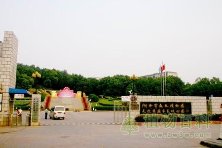 【湖南省森林植物园图】