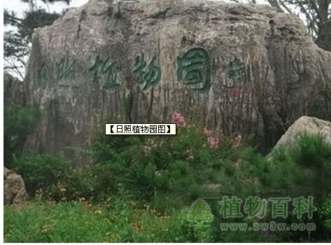 【日照植物园图】