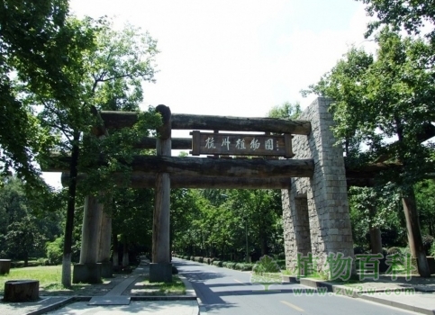 【杭州植物园】