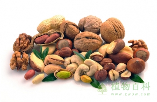 各色各样的坚果