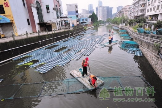 工人们正在拼装