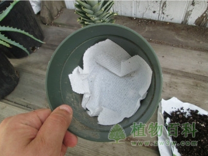 花盆肥土放置前