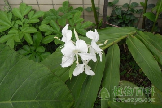 原来你也在这里