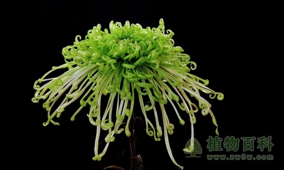 寻一片静，纳一境幽