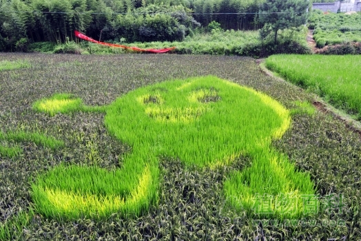 漫画图案-米娃娃