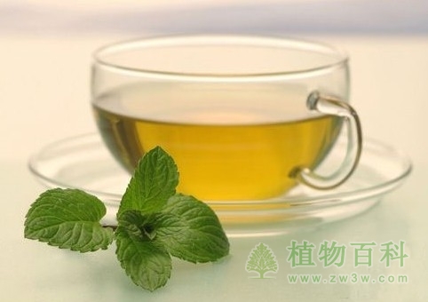 薄荷凉茶