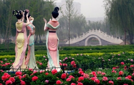 隋唐城遗址植物园内风景