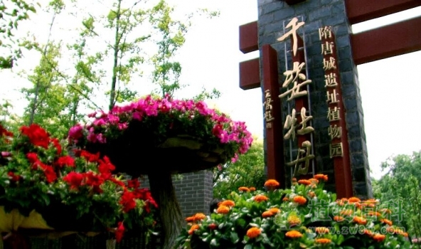 隋唐城遗址植物园