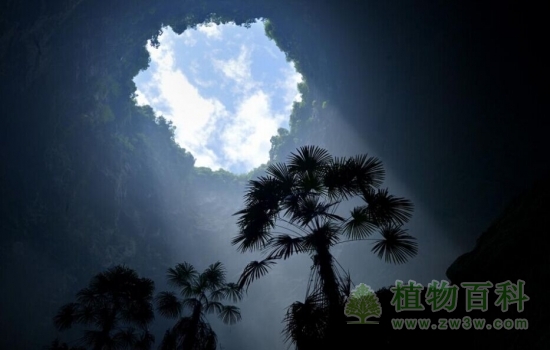 深达290多米的锣圈岩天坑