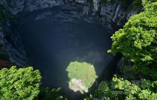从空中拍摄的锣圈岩天坑里的植被
