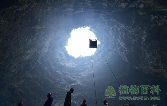 工人通过吊篮向“天坑”外运送垃圾