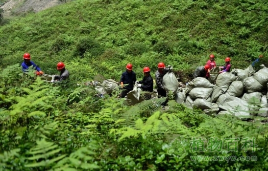 天坑外工人们清理垃圾
