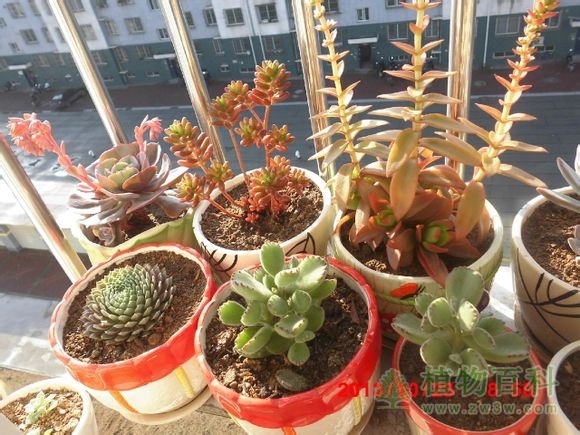 bet365365体育
-网友自拍