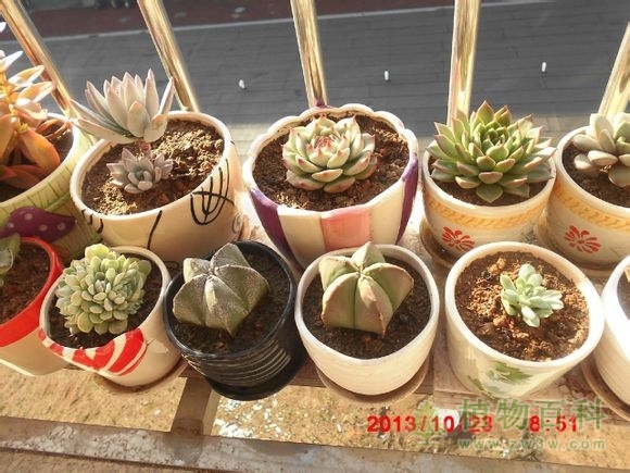 bet365365体育
-网友自拍