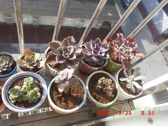 bet365365体育
-网友自拍