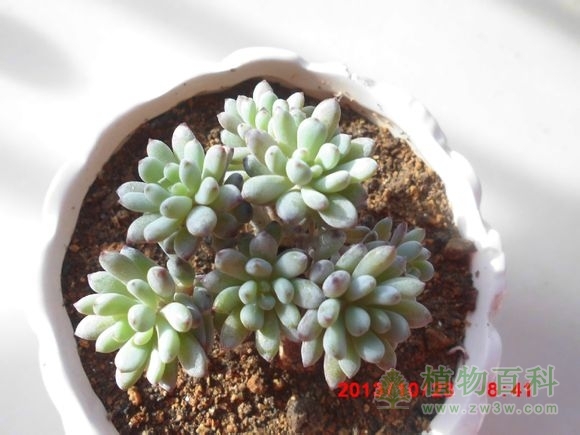 (蓝豆) bet365365体育
-网友自拍