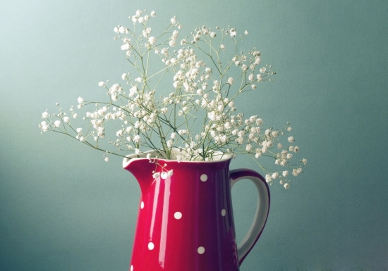 美丽的满天星插花