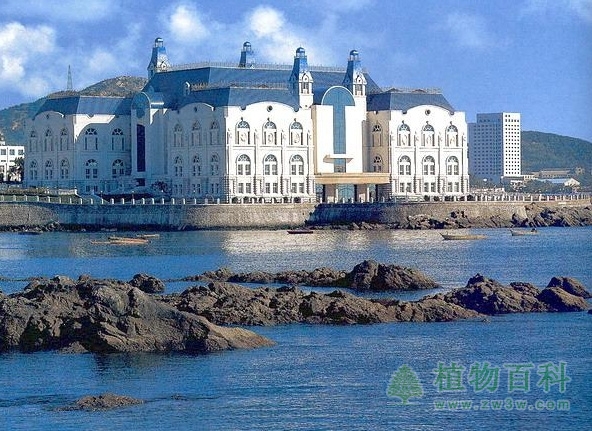 大连举办外来入侵植物展