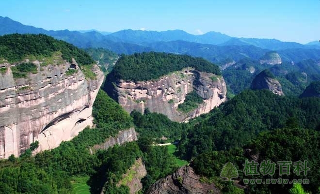 新宁县森林公安局被授予“全国保护森林和野生动植物资源先进集体”荣誉称号