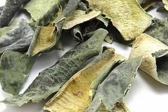 中药--冬瓜皮