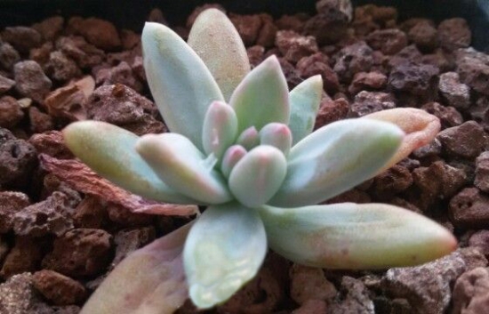 服盆期的bet365365体育
