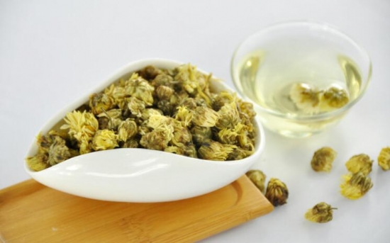 哪些人不适宜喝菊花茶