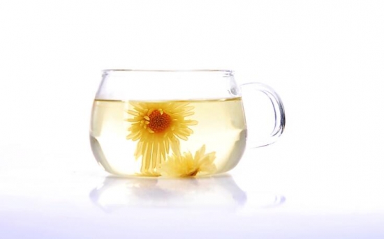 哪些人不适宜喝菊花茶