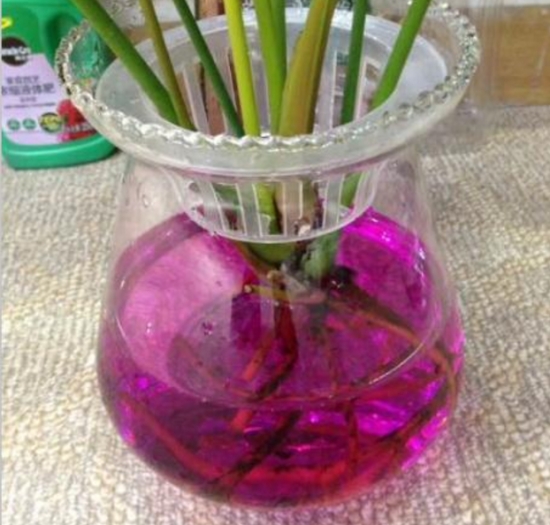 烂根处理