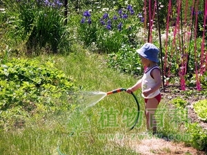 与植物相关的职业有哪些?