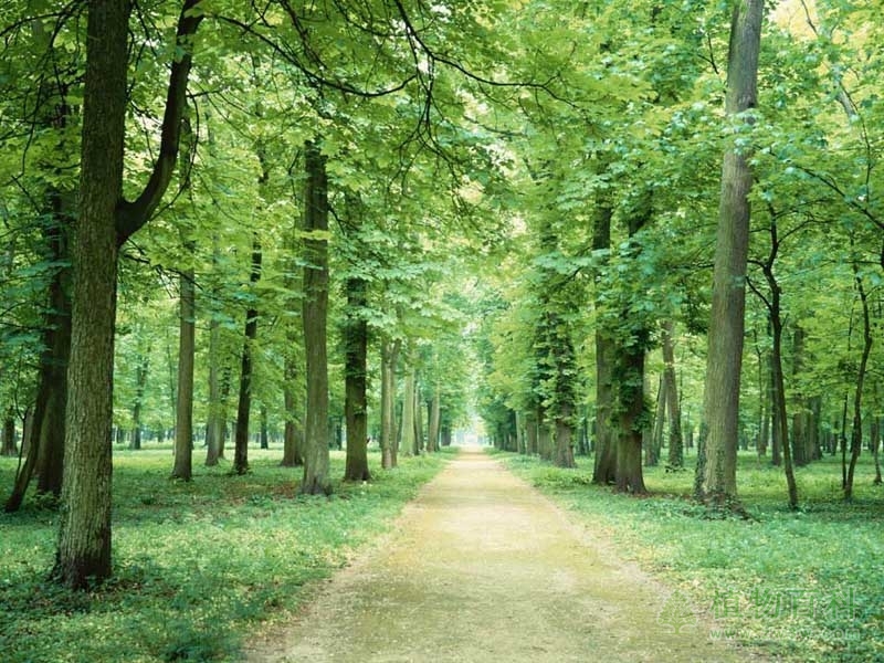 园林植物造景涵义和发展