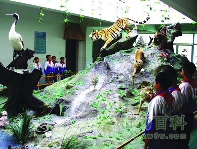 中国科学院沈阳应用生态研究所标本馆