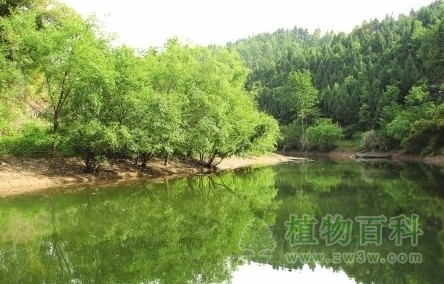 生态系统的能量流动(2)