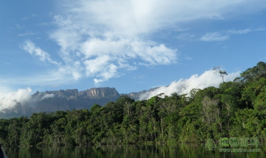 关于环境的概念