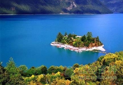 世界和中国植被的重要类型