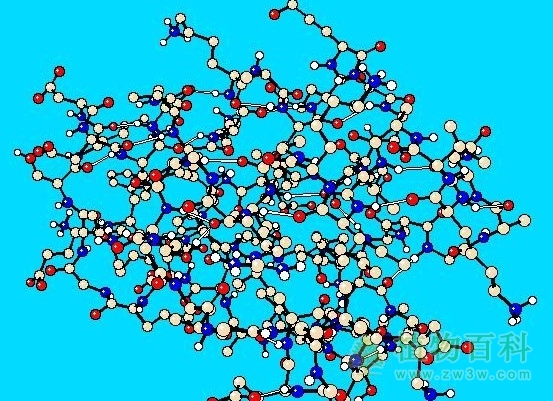 胁迫蛋白的合成与作用