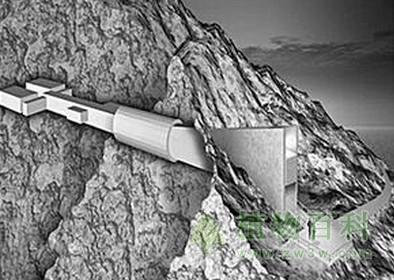 种子银行保护储存珍惜植物