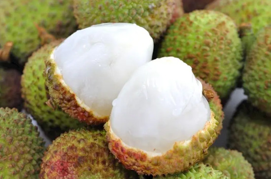 妃子笑荔枝花芽分化期