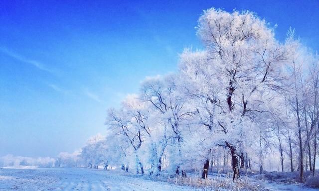 雾凇能放室内养吗？