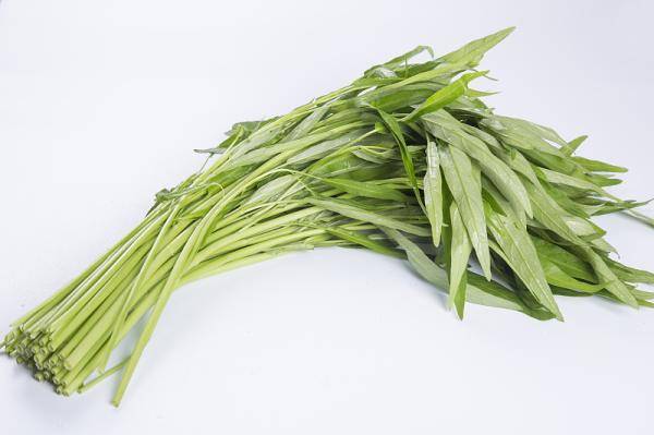 空心菜无土栽培技术要点有哪些，适合什么季节种植？